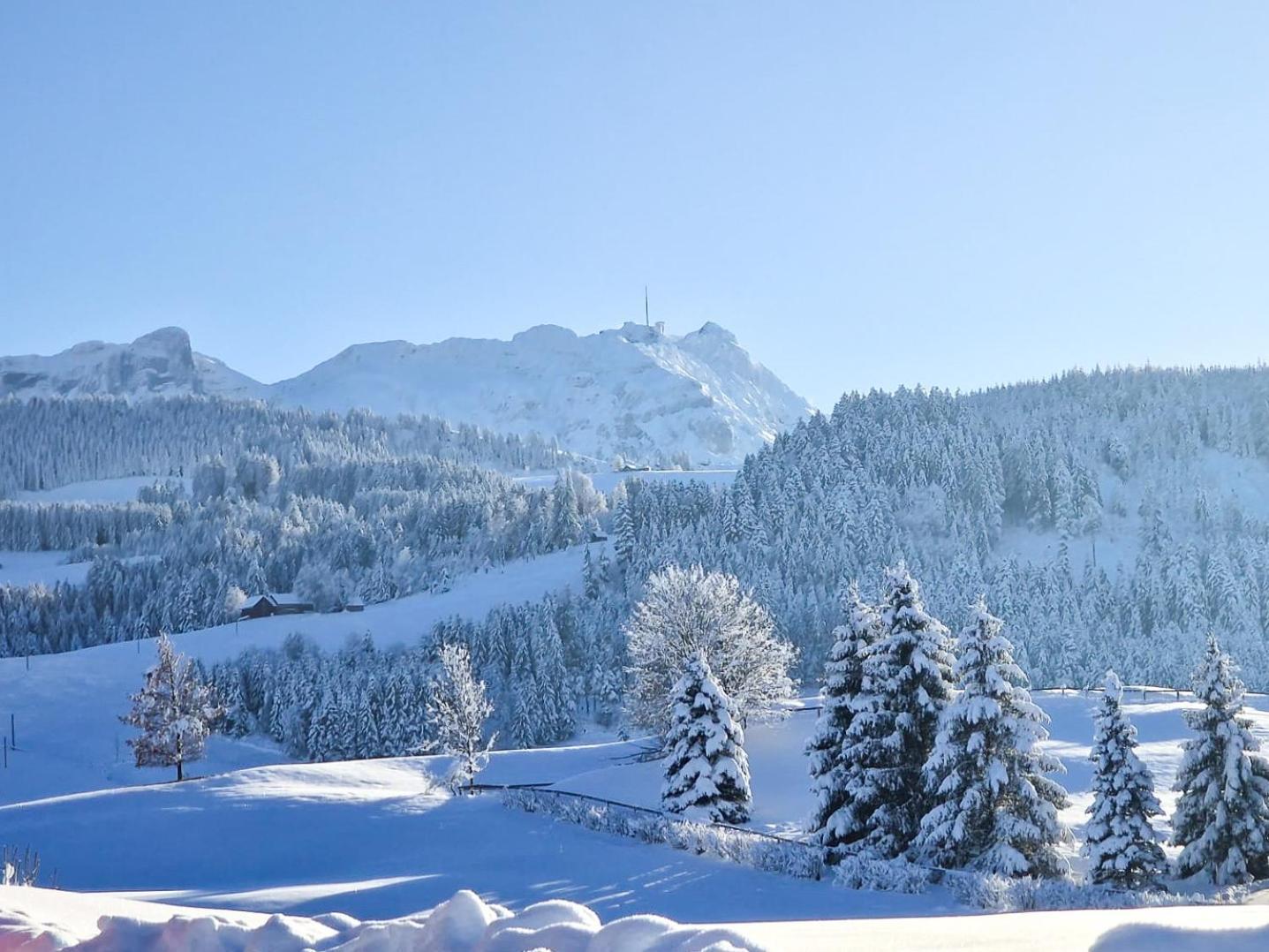 Appenzeller Huus Loewen Hotel Gonten Kültér fotó